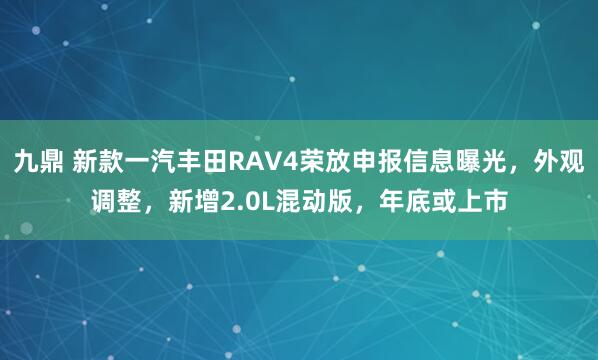 九鼎 新款一汽丰田RAV4荣放申报信息曝光，外观调整，新增2.0L混动版，年底或上市