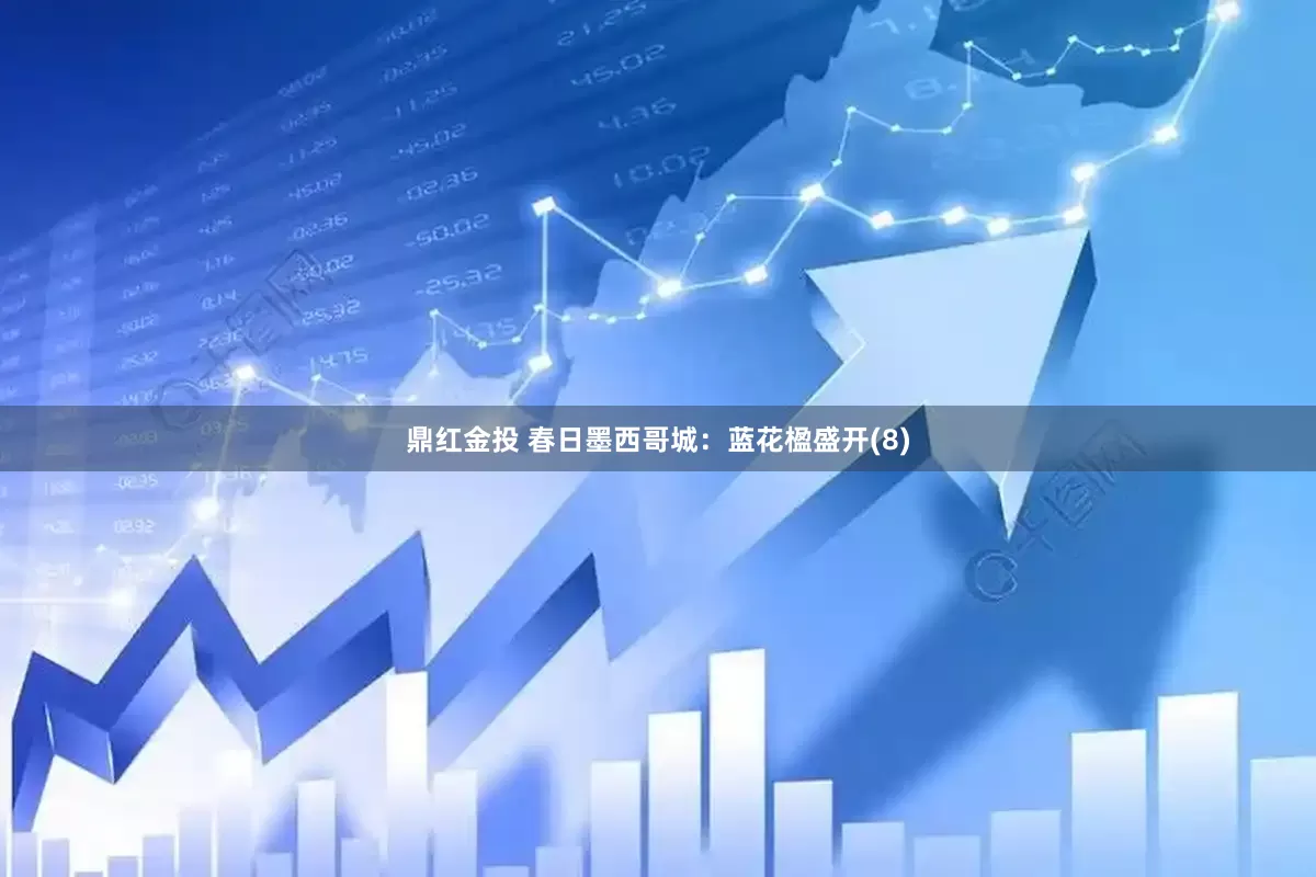 鼎红金投 春日墨西哥城：蓝花楹盛开(8)